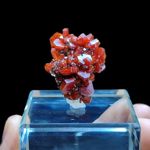 Puede incluir: Un grupo de vibrantes cristales de vanadinita de color rojo anaranjado. El espécimen mineral se exhibe sobre una base acrílica transparente y rectangular, sobre un fondo negro. Los cristales tienen una superficie brillante y reflectante, mostrando su formación natural.