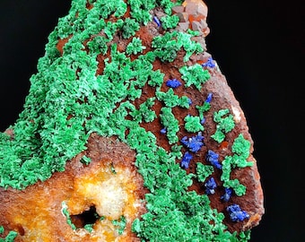 Large Azurite Malachite Flowers with Quartz | Sidi Ayad Midelt Morocco | 12x8x6cm | 524g | Unique Collectible Mineral Specimen