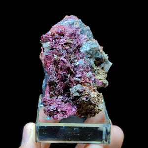 May include: A vibrant mineral specimen featuring a cluster of deep magenta crystals. The crystals are clustered on a matrix of gray and brown rock. The mineral is displayed on a clear acrylic stand against a black background.