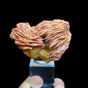 Yellow Fluorite with Barite – Sidi Ayad, Midelt Morocco - Mineral Collection - 6x4.5x2 cm – 62 g
