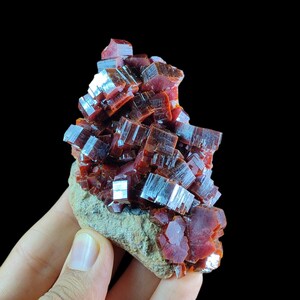 May include: A cluster of deep red, translucent vanadinite crystals with a hexagonal, prismatic structure. The mineral formation is attached to a rough, light brown, earthy matrix base, showcasing a high-gloss, reflective surface texture.