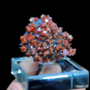 May include: A cluster of red vanadinite crystals on a black matrix. The crystals are sharp and well-formed, with a glassy luster. The specimen is displayed on a clear glass base.