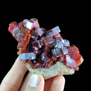 May include: A cluster of deep red, translucent vanadinite crystals with a hexagonal, tabular structure. The mineral specimen features sharp, geometric edges and a glossy, reflective surface, anchored to a light tan, textured rocky matrix base.
