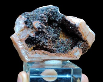 May include: A natural mineral specimen featuring a geode-like structure with a dark, sparkling interior. The outer layer is a light tan color, and the specimen is mounted on a clear, rectangular display stand. The background is black.