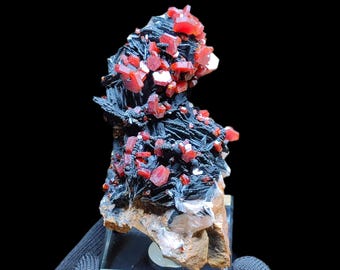 Red Vanadinite on Goethite on Barite from Mibladen, Midelt, Morocco | Rare Mineral Specimen 11x5x5 cm – 225g