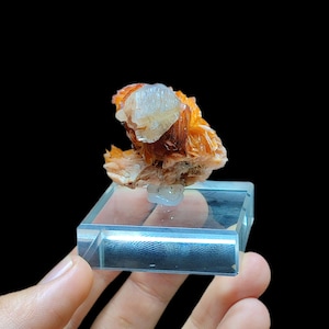 Könnte beinhalten: Mineralprobe mit einem Cluster aus orangefarbenen, braunen und weißen Kristallen. Die Kristalle sind auf einem transparenten, rechteckigen Acrylsockel montiert. Der Hintergrund ist einfarbig schwarz.