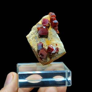 Peut inclure: Un petit groupe de cristaux rouges sur une matrice brune, présenté sur un support en verre transparent. Les cristaux sont nets et bien définis, avec un éclat vitreux.