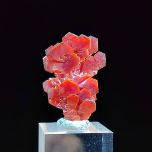 May include: A vibrant red mineral specimen with a cluster of hexagonal crystals. The crystals are a deep, saturated red color and are arranged in a layered, radiating pattern. The mineral sits on a small, light-colored base and a clear, rectangular stand.