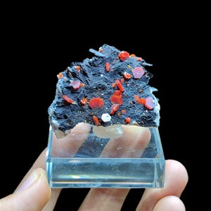 May include: A mineral specimen featuring a dark gray matrix with vibrant red, hexagonal crystals. The mineral sits on a clear, rectangular display stand, showcasing its natural beauty. The background is black.