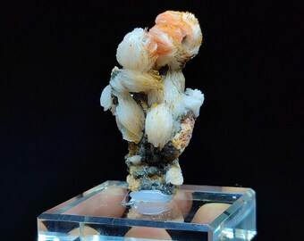 Cerussit mit Baryt – Seltenes marokkanisches Mineral – Midelt, Marokko (4,5x3x1,5 cm)