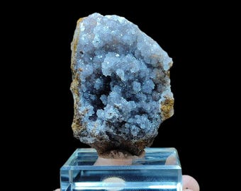 May include: A cluster of light blue crystals on a brown rock base, displayed on a clear acrylic stand. The crystals have a textured, bubbly appearance. The background is black, highlighting the mineral specimen.