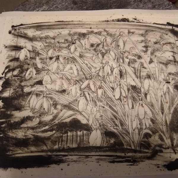 Handmade Drypoint Print of Snowdrops (Galanthus)