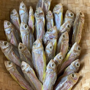 Salmonite