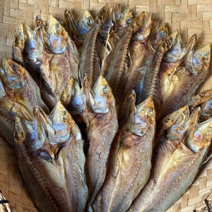 Dried fish (Alumahan Pinikas)