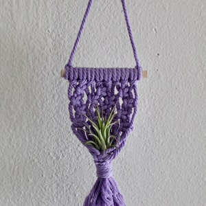 Macrame Air Plant Holder | Air Plant Hanger | Macrame Plant Hanger | Plant Hanger