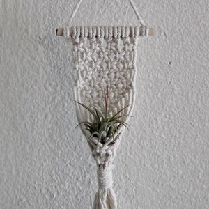Macrame Air Plant Holder | Air Plant Hanger | Macrame Plant Hanger | Plant Hanger