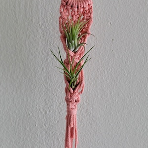 Macrame Air Plant Holder | Air Plant Hanger | Macrame Plant Hanger | Plant Hanger