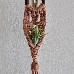 Macrame Air Plant Holder | Air Plant Hanger | Macrame Plant Hanger | Plant Hanger