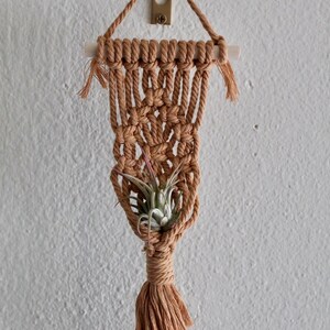 Macrame Air Plant Holder | Air Plant Hanger | Macrame Plant Hanger | Plant Hanger