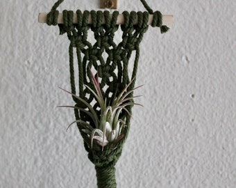 Macrame Air Plant Holder | Air Plant Hanger | Macrame Plant Hanger | Plant Hanger