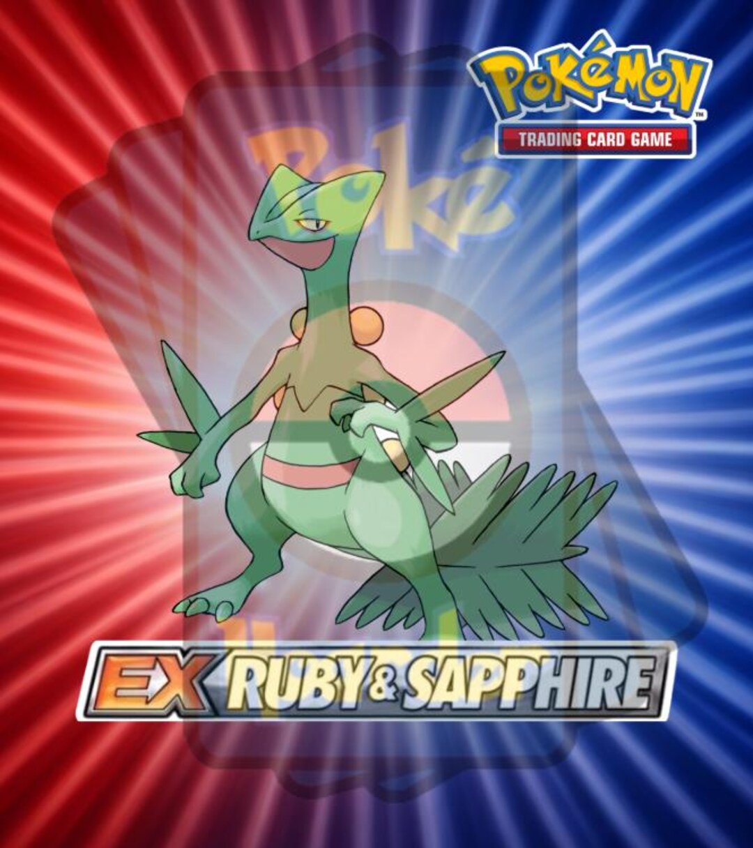 EX Ruby and Sapphire TCG Binder, Laminated Cover/spine & Sleeves for ...