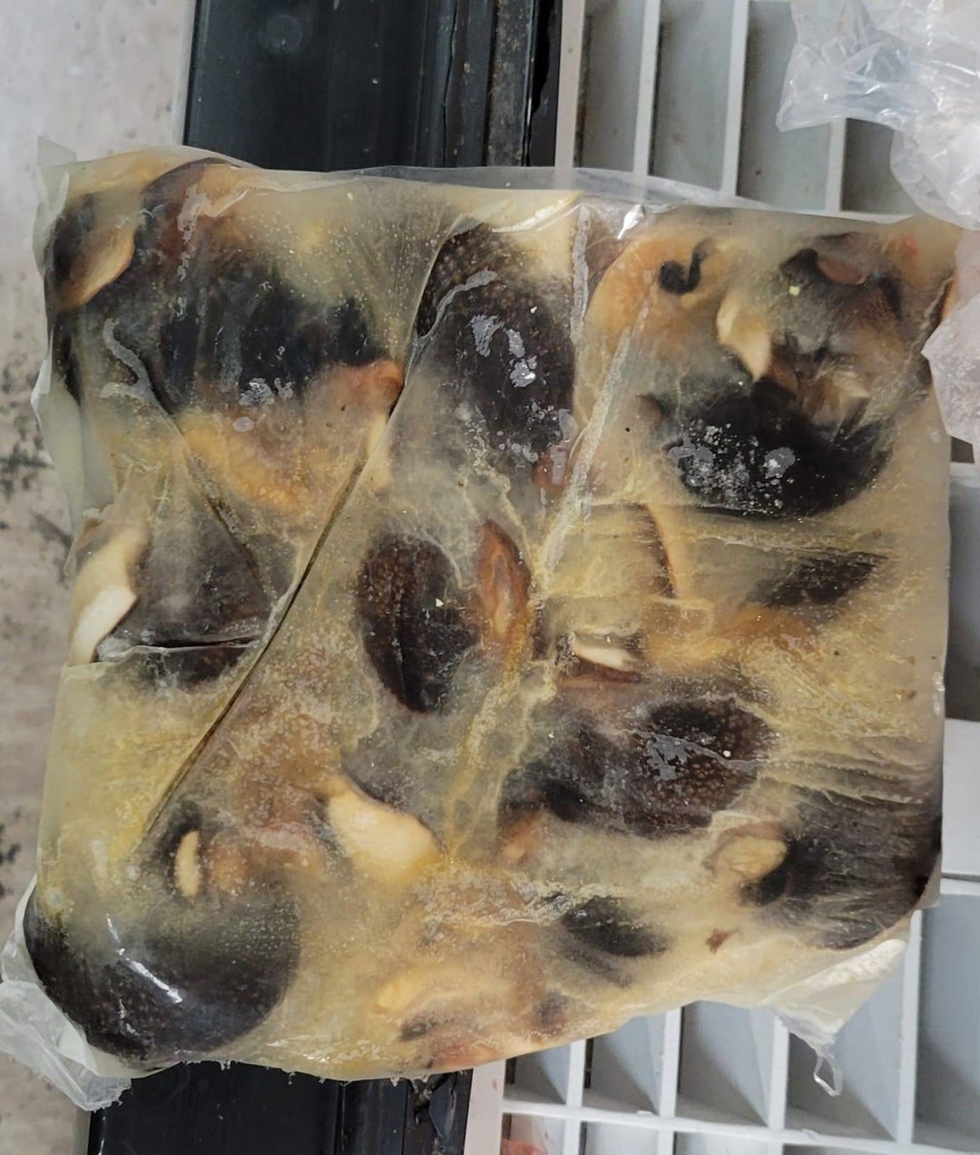 Frozen /fresh Snails Jumbo Size Etsy