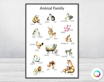 Animal Family Educational Poster | Digital Download | Montessori Homeschooling Learning Resource | Kids Nursery Room Preschool