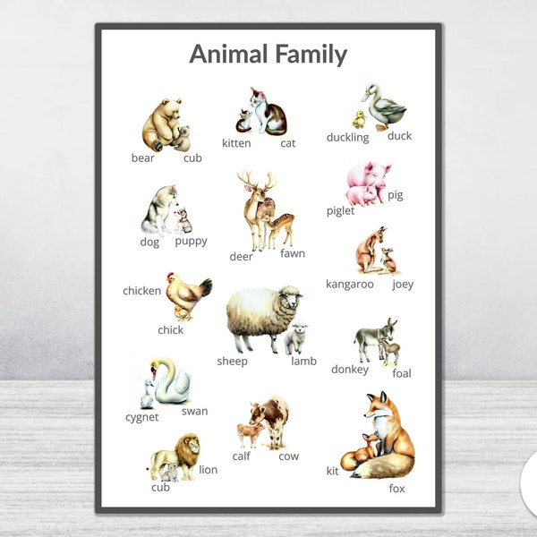 Animal Family Educational Poster | Digital Download | Montessori Homeschooling Learning Resource | Kids Nursery Room Preschool