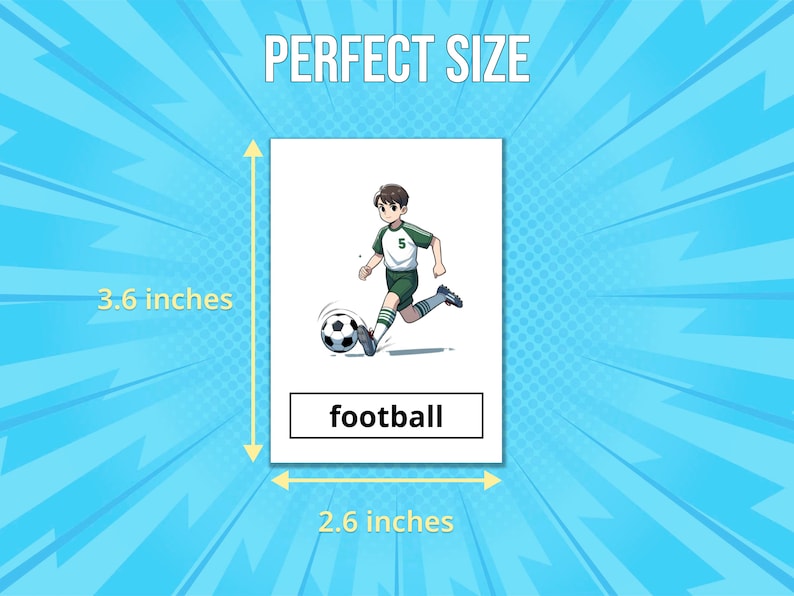 24 Sports Spectrum Flash Cards Printable for Kids (montessori Cards ...