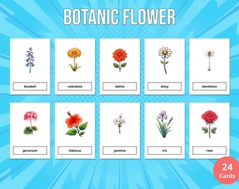 24 Botanic Flower Flash Cards Printable for Kids (Montessori Cards), Education Preschool, PDF, Instant Digital Download