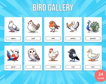 24 cartes flash Bird Gallery imprimables pour les enfants (cartes Montessori), éducation préscolaire, PDF, téléchargement numérique instantané