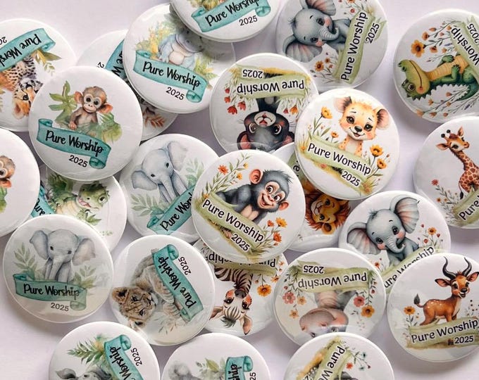 Pure Worship Kids Pins, JW Convention 2025 Gifts,  JW Convention Pins, Pure Worship 2025