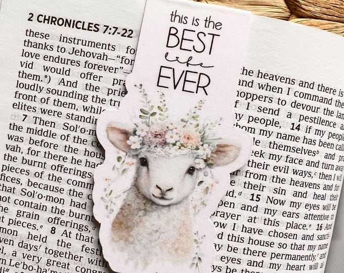 JW Magnetic Bookmarks, JW Pioneer Gifts, JW Gifts, Best Life Ever