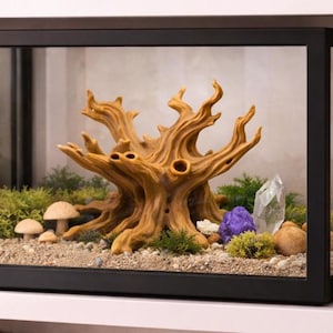 May include: A terrarium featuring a detailed brown tree root sculpture as its focal point. The scene includes small mushrooms, green moss, and crystals. The terrarium is enclosed in a black framed glass box.