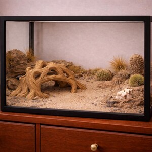 May include: A black-framed terrarium with a desert landscape. Inside, there's sand, rocks, cacti, and a wooden structure. The terrarium sits on a dark wooden dresser.