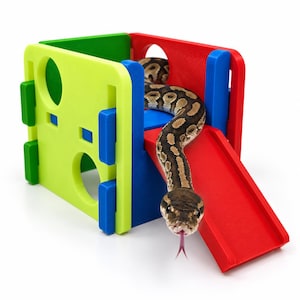Little Tykes Playground Decor Hide: Enrichment-Decor Arachnid, Snakes, Reptile, Jumping-Spider, Amphibian, Geckos, Beardies