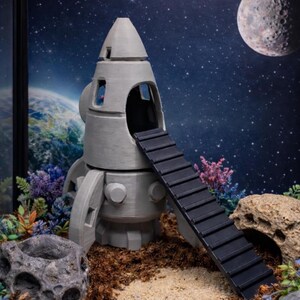 Può includere: Un habitat per animali domestici a forma di razzo grigio con una scala nera, sullo sfondo di un cielo stellato, un pianeta e una grande luna. L'habitat è circondato da piante e una roccia.