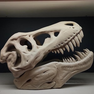 May include: A white ceramic dinosaur skull replica with a detailed jaw and teeth. The skull is open and the jaw is slightly ajar.