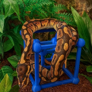 Square Snake Jungle Gym: Climbing Frame, Climber Enrichment, chameleon, python, boa, kingsnake, corn-snake, gecko