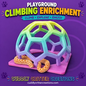 Rainbow Glow-in-Dark Snake Climber: Enrichment-Decor Arachnid, Snakes, Reptile, Jumping-Spider, Amphibian, Geckos, Beardies