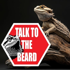 May include: A red hexagonal stop sign with white text that reads "Talk to the Beard". A bearded dragon lizard is perched on a branch behind the sign.