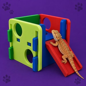 May include: A multi-colored reptile climbing structure featuring a lime green front panel with circular cutouts, blue connectors, and a red ramp. A tan bearded dragon is positioned on the red ramp, facing toward the top of the structure.