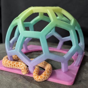 Rainbow Glow-in-Dark Snake Climber: Enrichment-Decor Arachnid, Snakes, Reptile, Jumping-Spider, Amphibian, Geckos, Beardies