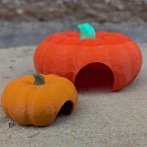 May include: Two orange pumpkin-shaped hideaways for small pets. The larger pumpkin has a green stem and a wide opening. The smaller pumpkin has a smaller opening.