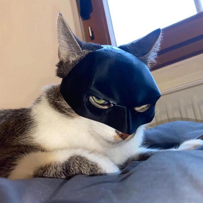 Batcat Mask, CatMan The Dark Meow Cat Bat-Mask Funny Halloween Costume-Accessories for Cats, TikTok & Instagram