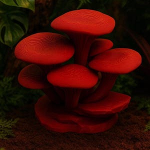 Grupo de setas encantadas – Decoración para terrarios