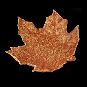Maple Leaf Reptile Dish: Food & Water Bowl, Arachnid, Snakes, Reptile, Jumping-Spider, Amphibian, Geckos, Beardies