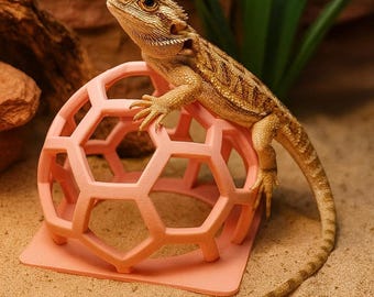 Bearded Dragon Enrichment Toy: Enrichment-Decor Arachnid, Snakes, Reptile, Jumping-Spider, Amphibian, Geckos, Beardies