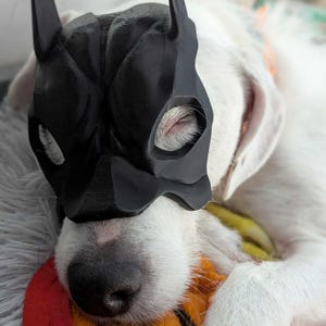 Batdog Mask: The Dark-Bark dog-Bat Mask Funny Halloween Costume, Black-Bat-Mask for dogs / Dog-Mask Nefarious Acts