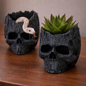 Op de afbeelding: Twee zwarte schedelvormige plantenbakken. Eén bevat een groene vetplant, de andere heeft een kleine slang met een roze tong. De plantenbakken hebben een getextureerd, verweerd uiterlijk en staan op een houten oppervlak.